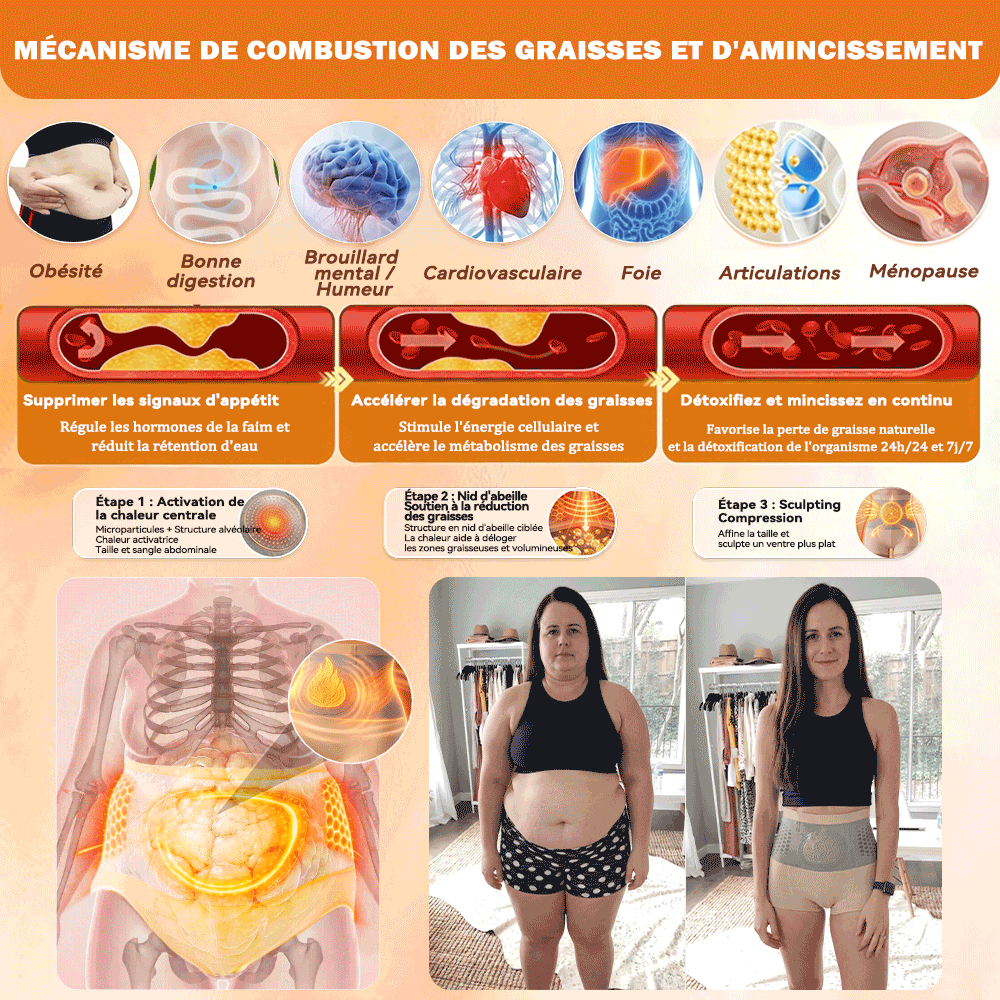 💖𝐏𝐀𝐔𝐑𝐀𝐉𝐔® 𝐌𝐨𝐫𝐢𝐧𝐠𝐚 𝐄𝐭 𝐁𝐞𝐫𝐛é𝐫𝐢𝐧𝐞 𝐓𝐨𝐮𝐭-𝐄𝐧-𝐔𝐧 𝐒𝐡𝐨𝐫𝐭𝐬 𝐁𝐫û𝐥𝐞-𝐆𝐫𝐚𝐢𝐬𝐬𝐞 À 𝐌𝐢𝐜𝐫𝐨𝐩𝐚𝐫𝐭𝐢𝐜𝐮𝐥𝐞𝐬✅Active la microcirculation profonde pour faire fondre les graisses, éliminer les toxines et inverser le vieillissement métabolique.