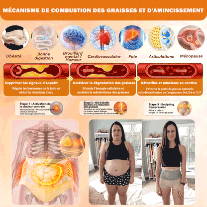 💖𝐏𝐀𝐔𝐑𝐀𝐉𝐔® 𝐌𝐨𝐫𝐢𝐧𝐠𝐚 𝐄𝐭 𝐁𝐞𝐫𝐛é𝐫𝐢𝐧𝐞 𝐓𝐨𝐮𝐭-𝐄𝐧-𝐔𝐧 𝐒𝐡𝐨𝐫𝐭𝐬 𝐁𝐫û𝐥𝐞-𝐆𝐫𝐚𝐢𝐬𝐬𝐞 À 𝐌𝐢𝐜𝐫𝐨𝐩𝐚𝐫𝐭𝐢𝐜𝐮𝐥𝐞𝐬✅Active la microcirculation profonde pour faire fondre les graisses, éliminer les toxines et inverser le vieillissement métabolique.