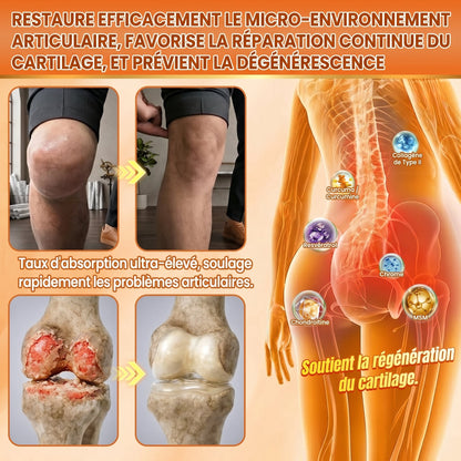 💖𝐏𝐀𝐔𝐑𝐀𝐉𝐔® 𝐌𝐨𝐫𝐢𝐧𝐠𝐚 𝐄𝐭 𝐁𝐞𝐫𝐛é𝐫𝐢𝐧𝐞 𝐓𝐨𝐮𝐭-𝐄𝐧-𝐔𝐧 𝐒𝐡𝐨𝐫𝐭𝐬 𝐁𝐫û𝐥𝐞-𝐆𝐫𝐚𝐢𝐬𝐬𝐞 À 𝐌𝐢𝐜𝐫𝐨𝐩𝐚𝐫𝐭𝐢𝐜𝐮𝐥𝐞𝐬✅Active la microcirculation profonde pour faire fondre les graisses, éliminer les toxines et inverser le vieillissement métabolique.