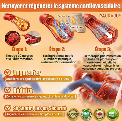 💖𝐏𝐀𝐔𝐑𝐀𝐉𝐔® 𝐌𝐨𝐫𝐢𝐧𝐠𝐚 𝐄𝐭 𝐁𝐞𝐫𝐛é𝐫𝐢𝐧𝐞 𝐓𝐨𝐮𝐭-𝐄𝐧-𝐔𝐧 𝐒𝐡𝐨𝐫𝐭𝐬 𝐁𝐫û𝐥𝐞-𝐆𝐫𝐚𝐢𝐬𝐬𝐞 À 𝐌𝐢𝐜𝐫𝐨𝐩𝐚𝐫𝐭𝐢𝐜𝐮𝐥𝐞𝐬✅Active la microcirculation profonde pour faire fondre les graisses, éliminer les toxines et inverser le vieillissement métabolique.